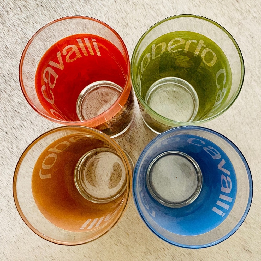 Roberto Cavalli Drinking Glasses NWOT